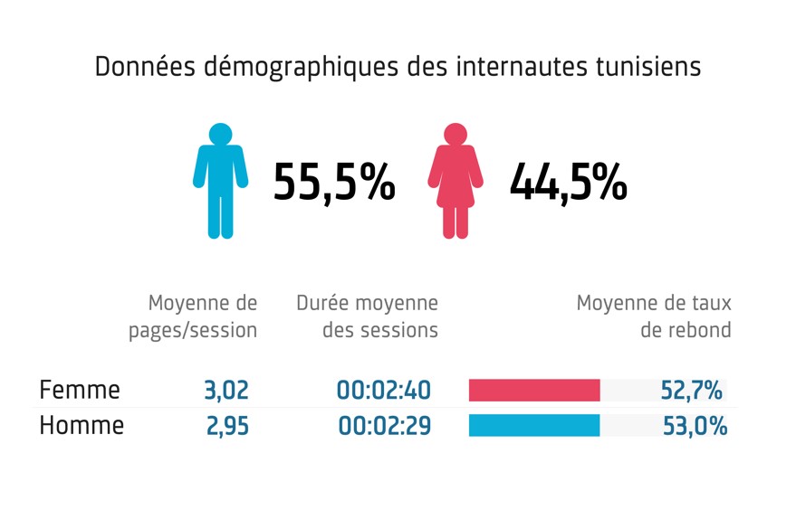 données démographiques des internautes tunisiens.