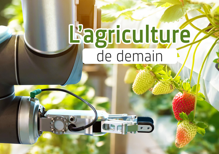 Agriculture verticale et robots : le monde peut-il être sauvé ?