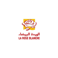 WARDA ROSE BLANCHE